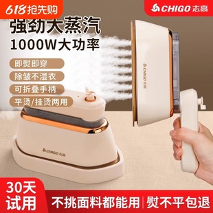 Zhigao Handheld Garment Steamer for Home Use, Large Steam Iron, Mini Clothes Ironing Machine, Small Portable Ironing Machine