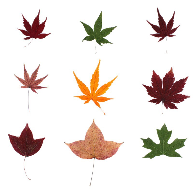 2025-07-01 19:17:35.jpg