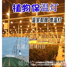 �»��܄�ֲ��̫ꖹⱣ�ؾGֲ�߲˟�������Ҽt�⾀��ȡů����̫��