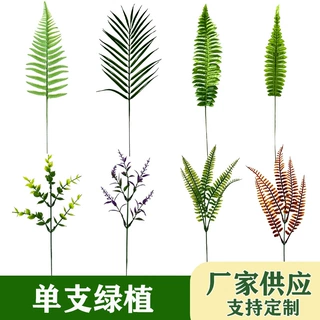 跨境热销单支仿真波斯蕨草棕榈叶尖叶薰衣草桉树叶绿植可定制款