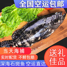 �Ұ��ʯ���~�r��ʯ���~ʯ���~���������~��đ�ϻ���(2-10��)