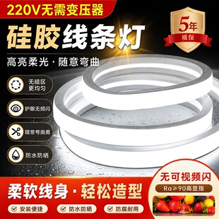220v��led���Թ��zǶ��ʽ������ճ�׹�ܛ���l24v�͉���ˮ���Ο�