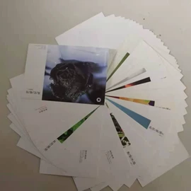 文化印刷用纸;胶版纸;艺术纸