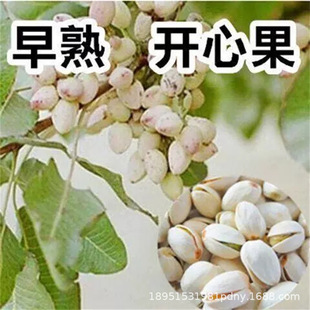 �̹��_�Ĺ��������Ե��� ����Y���޽ӹ��������� �Ϸ������Nֲ