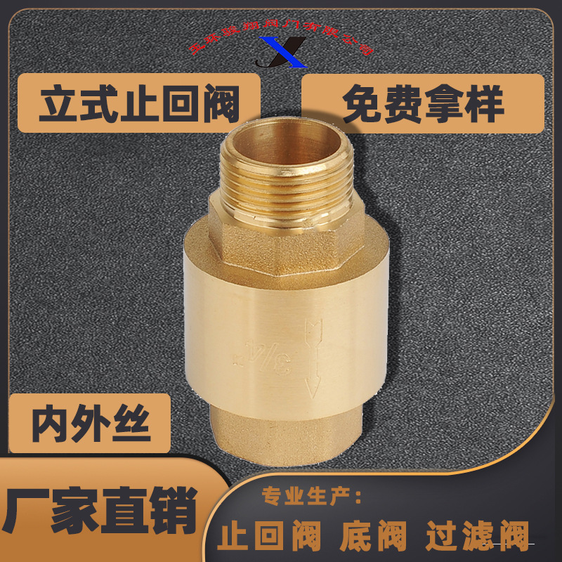 厂家直销阀门加厚耐用精密黄铜铜芯内外丝螺纹单向弹簧立式止回阀
