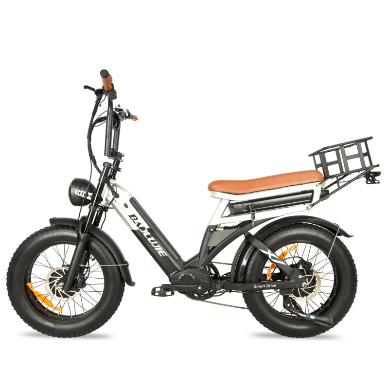 Foreign Trade Export Dual-Battery 20inch Electric Mountain Bike for Off-Road Riding with Long Range and Power Assist