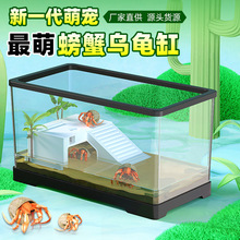养螃蟹乌龟缸造景观赏迷你透明乌龟缸寄居蟹辣椒蟹饲养缸