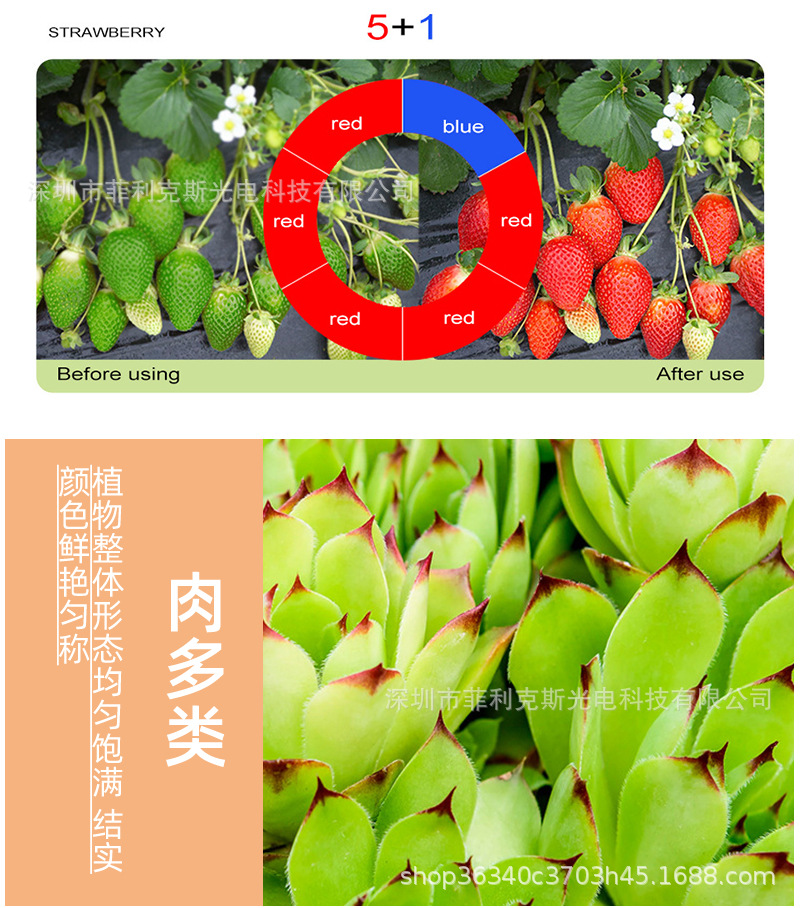 5050(3红1蓝)植物灯详细页_16.jpg