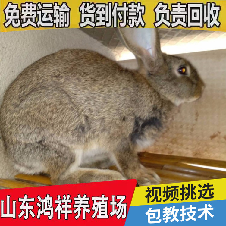 conew_搜狗截圖22年04月14日2114_69_看圖王