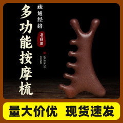 头皮按摩梳子头疗刮痧疏