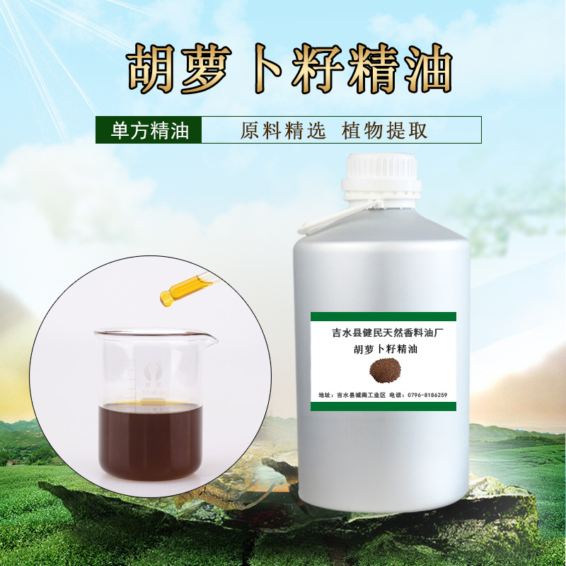 胡萝卜籽精油单方精油 化妆品香薰按摩精油