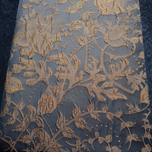 ½zcU LֲﻨɫỨ  SF