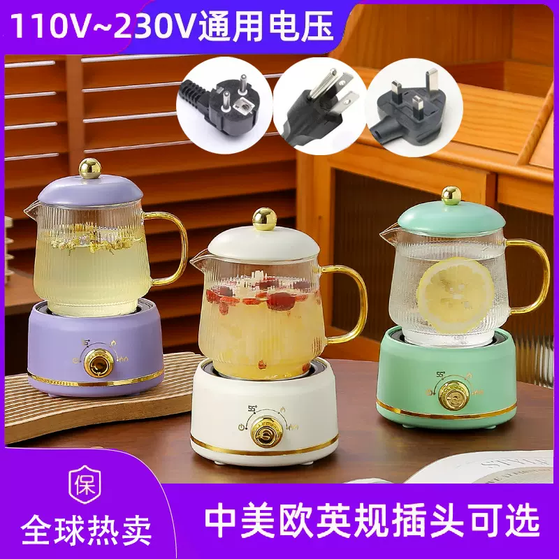 110V220V通用电压电热水杯美英欧规全球可用养生杯小型电热养生壶
