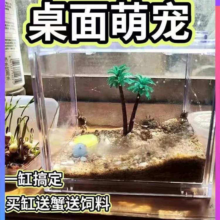 Резервуар для разведения крабов чили, настольный микроландшафтный резервуар, мини-строительный блок для крабов чили, коробка, небольшой резервуар для разведения крабов, офисный ландшафтный дизайн
