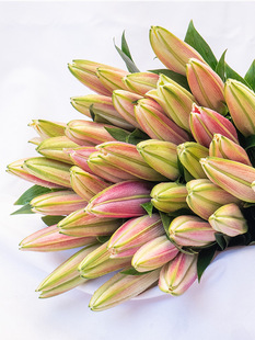 ����r������ֱ�l��ˮ�ٺ��r�л��滨���տ�õ������l