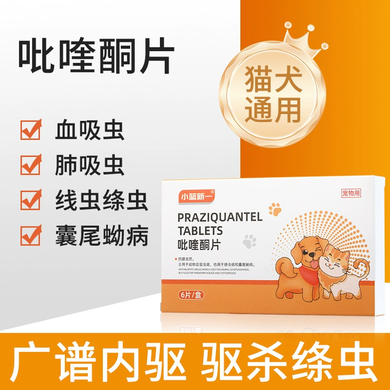 Празиквантел таблетки оптом ветеринарное антимедицинское средство для собак и кошек, ленточных червей, нематодов, круглых червей, внутренняя дегельминтизация домашних животных