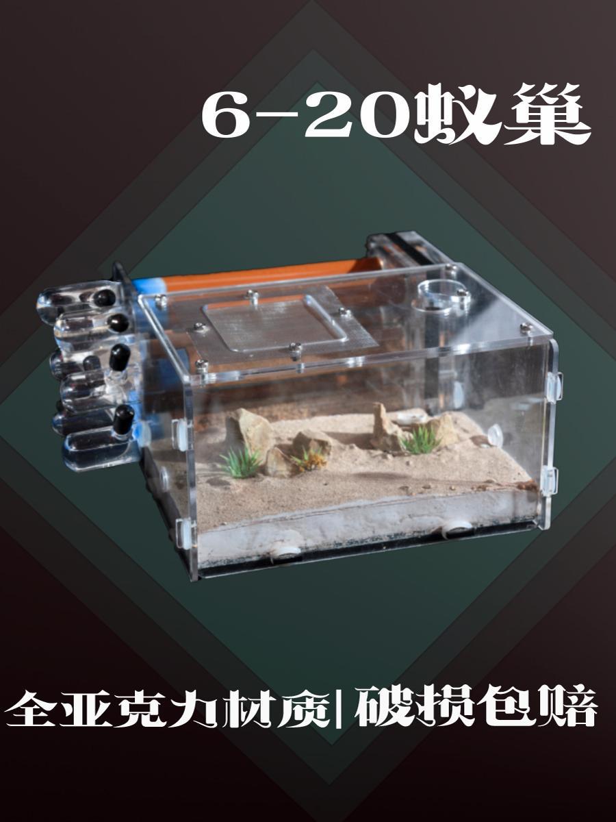 6-20 亚克力试管巢 收获蚁弓背猛蚁树栖蚁巢 新手儿童宠物蚂蚁巢