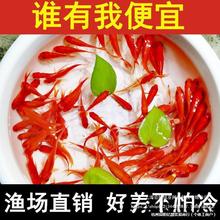 �B����B�ͻ�С�ͼt�J�׺��a�~�絭ˮ���~�~����~�w�^�p�~��ˮ