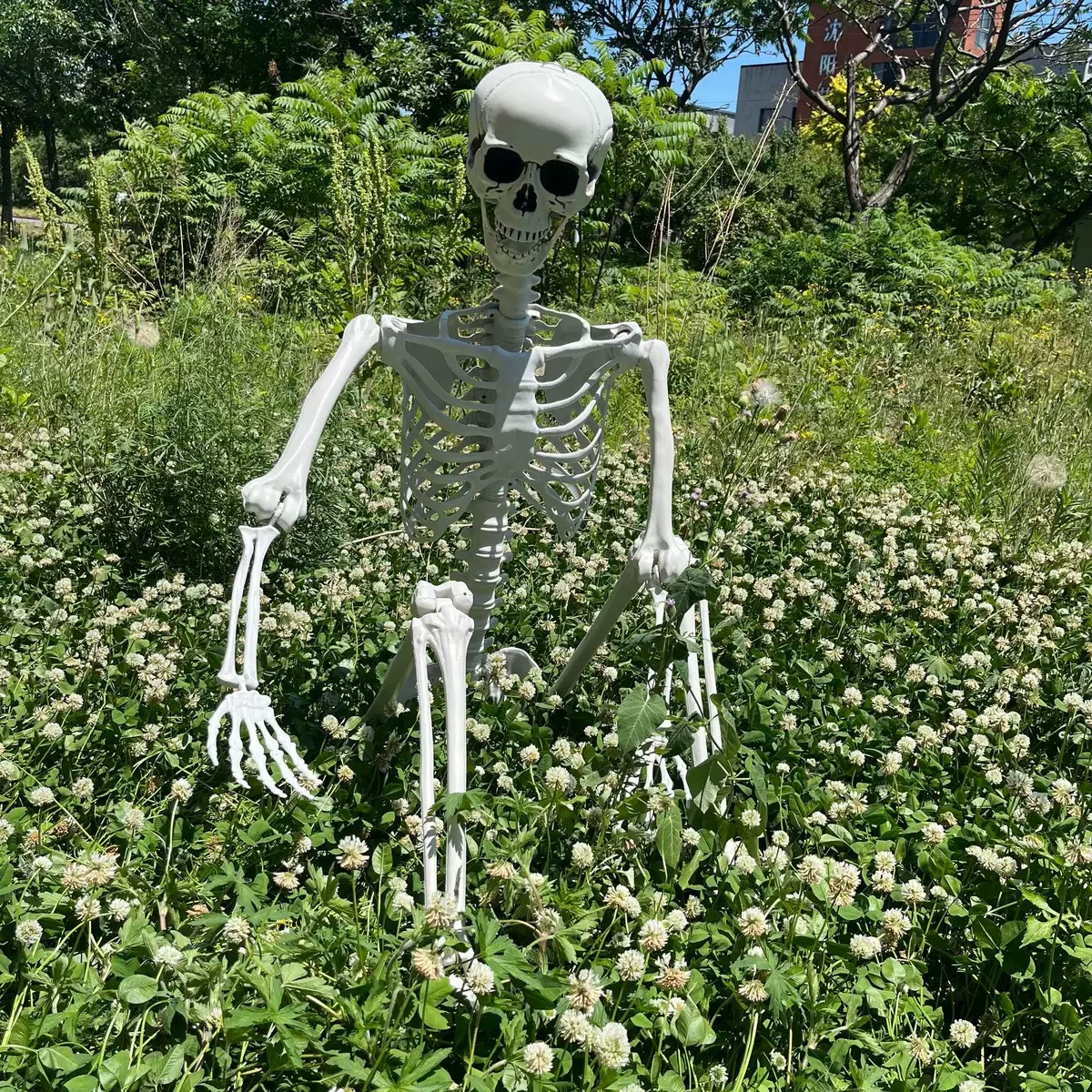 Кросс-бордерный скелет человека, декор для Хэллоуина, ужас, тыква, скелет человека 165 см, 240 см, 315 см
