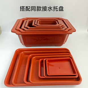 �L�����辰��ӭ�����üӺ����Ϲ��仨���辰���،������ϻ���