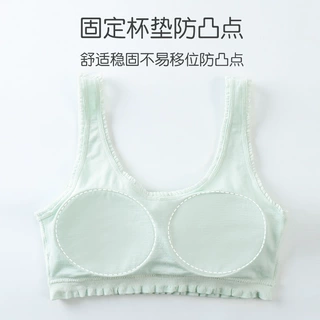 二阶段无缝少女内衣莫代尔女童小背心固定透气舒适学生文胸套装