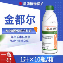 �����_ �𶼠� �������ײݰ�������ǰ���]�s���rș���݄�1L