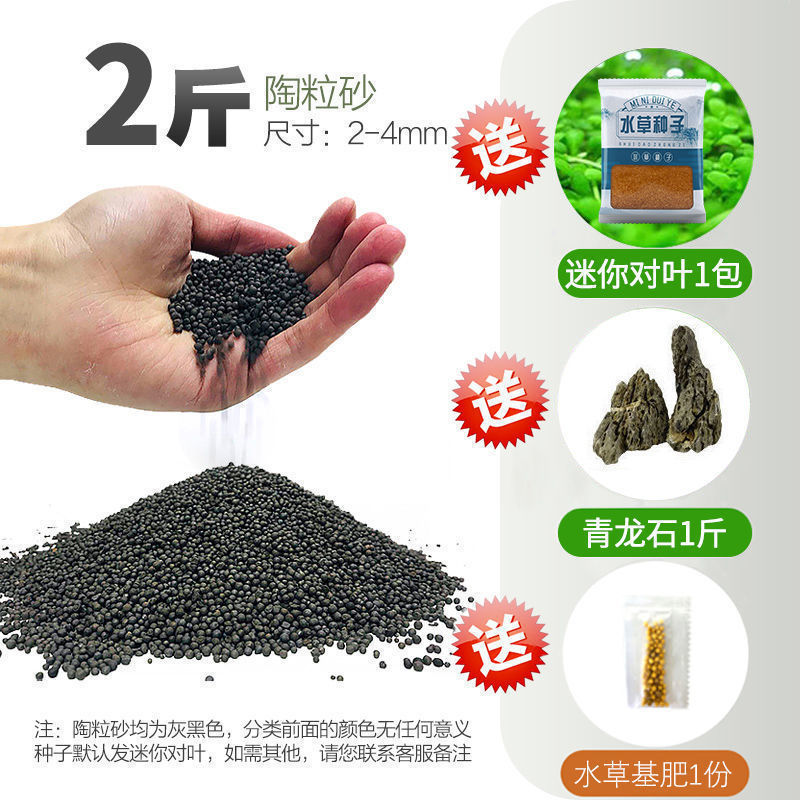 嘘援娉ユ壒鍙戙€愪笉舞枃丸瀀耣ャ€戦櫠绮掔戞枸shoulder a few搴琴爞更曟曟曘昘棌绠 argue