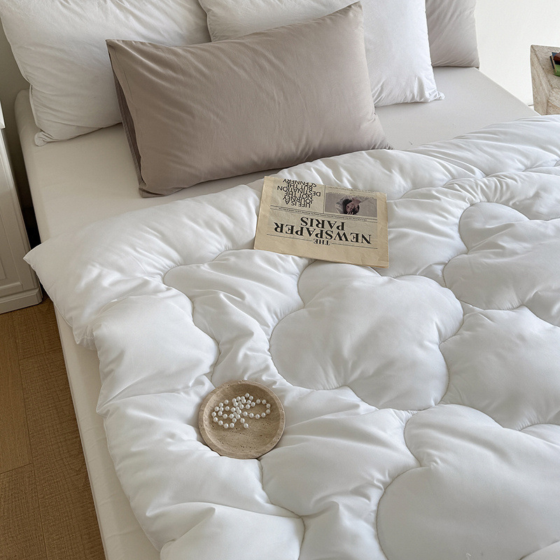 Class a Soft and Skin-Friendly Brushed Washed Cotton Quilt Whole Feather Silk Cotton Autumn and Winter Quilt Core Home Student Summer Cool Quilt