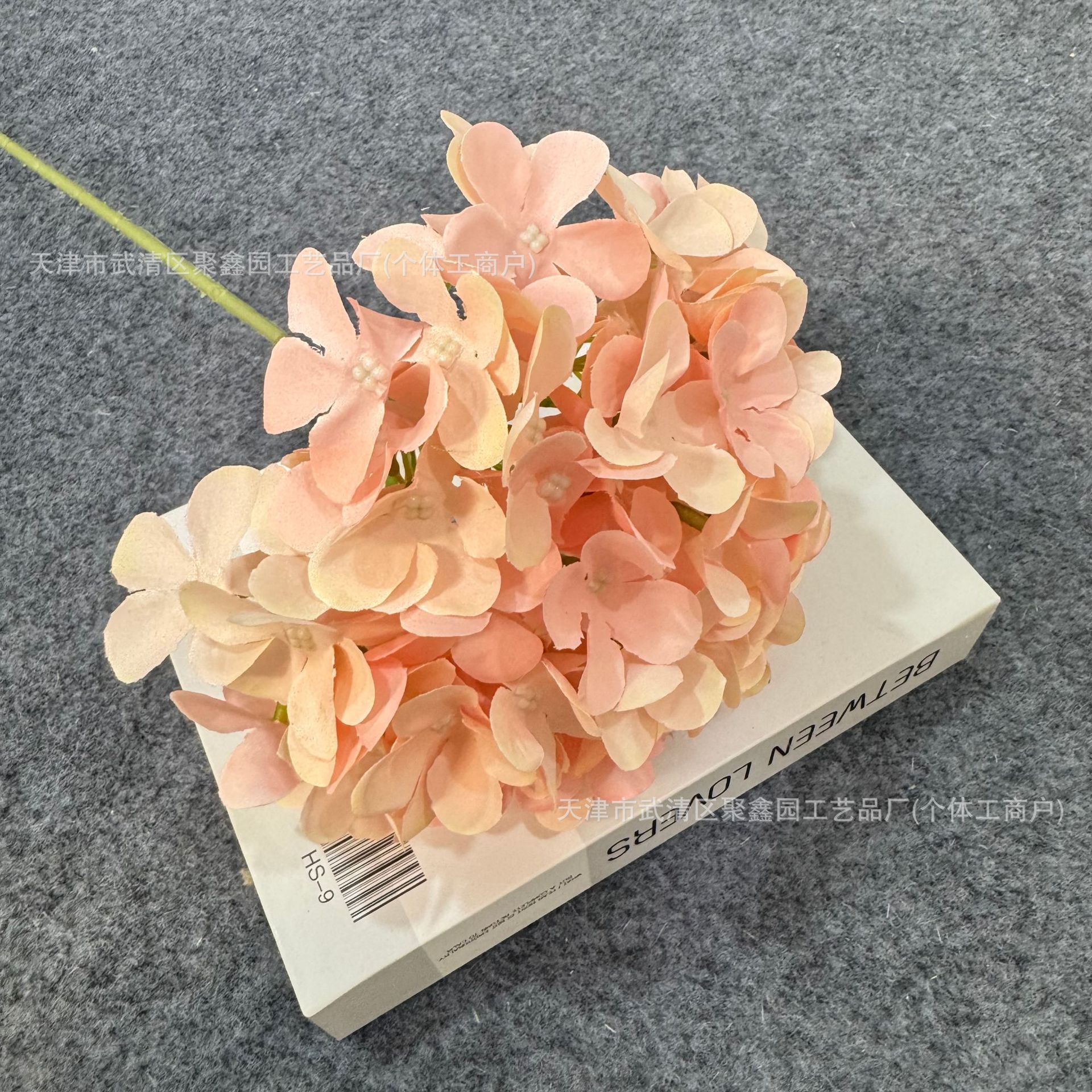 딥 플레쉬 핑크