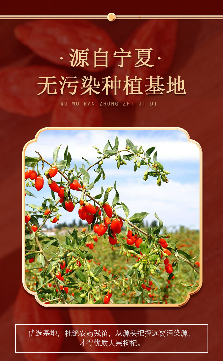 Goji Berry Gift Box Ningxia Premium Large Fruit 300g 20 Small Jars key features