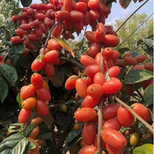 ���̹���޽������ش����r��������̖���̹������ϱ����ļ�ͥԺ