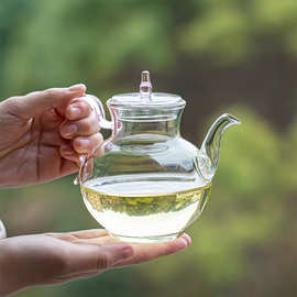 仿宋玻璃手执壶中式带过滤绿茶泡茶器专用一人用茶壶花茶壶