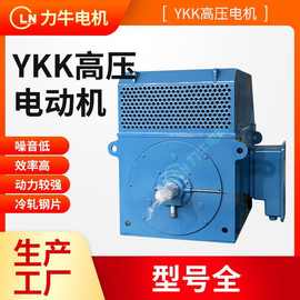 YKK系列6级355KW-6KV-10KV高压鼠笼转子三相异步电动机封闭式电机