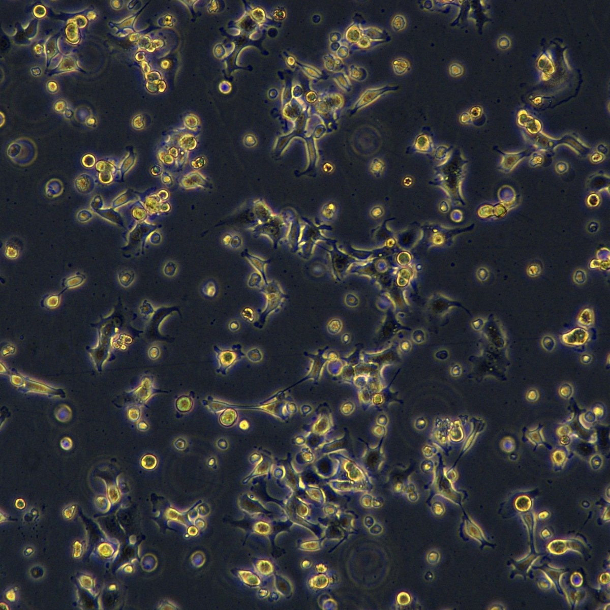 2025-11-04 16:00:03.jpg