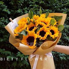 日本进口切花向日葵种子文森特II 精选 橙色黑芯清新盆栽鲜花