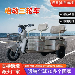 跨境电动三轮车双排座小型休闲代步车女性老人双用家用电瓶车