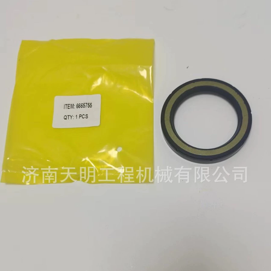 6665755 масляные уплотнения двигателя