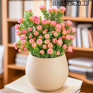 ��ؔ����ֲ���ɫ�X�������k���҃����滨�ܺ��B���ݗ�䎧�莧��