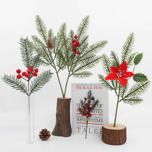 ?�}�Q��ᘹ��ղ��þGֲ�[�� ֲ��t�{���ɹ���֦�b���