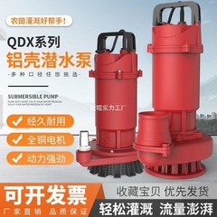 上海水中ポンプ 220V 家庭用ポンプ 3inch 4inch 農業高揚程灌漑下水大流量ポンプ