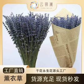 永生花;鲜花花艺制品;干花