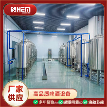 500 升商用精酿啤酒设备 小型啤酒发酵罐 酒吧自酿啤酒生产线全套