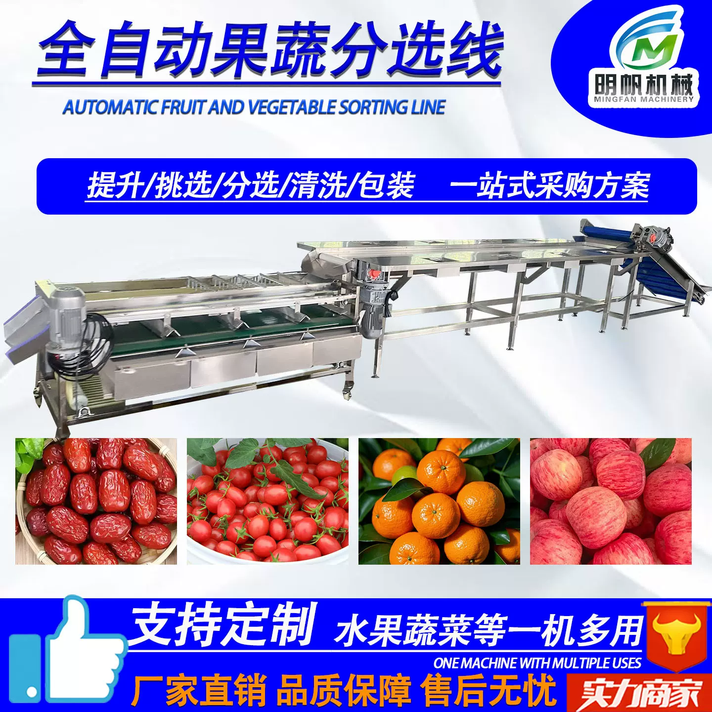 圣女果分级设备 大枣椰枣橄榄分级清洗风干流水线 柑橘分选机