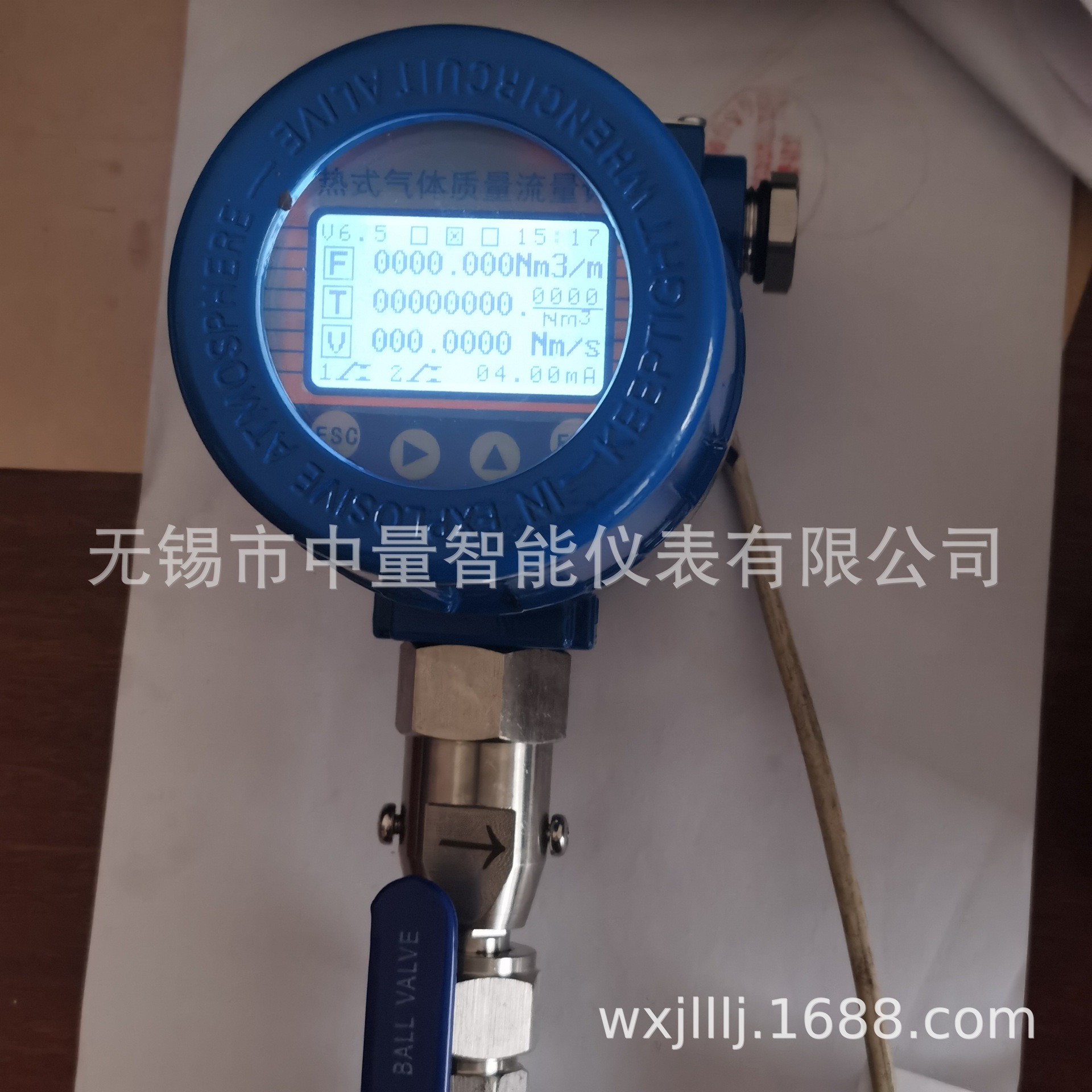 插入式热式气体质量流量计/插入式热式流量计/插入式质量流量计