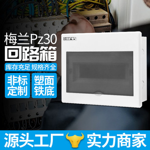 ����÷�m�͏�����������pz30��·��÷�m���F�������·��