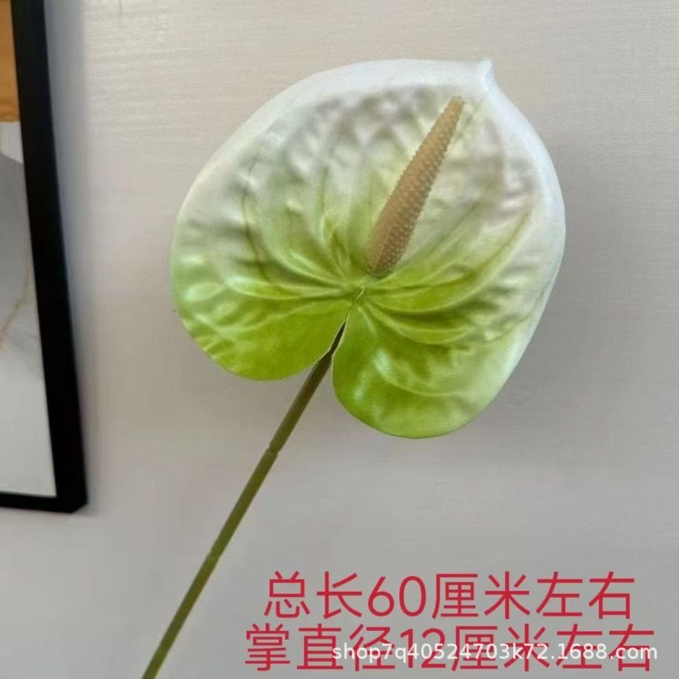색상 번호 3