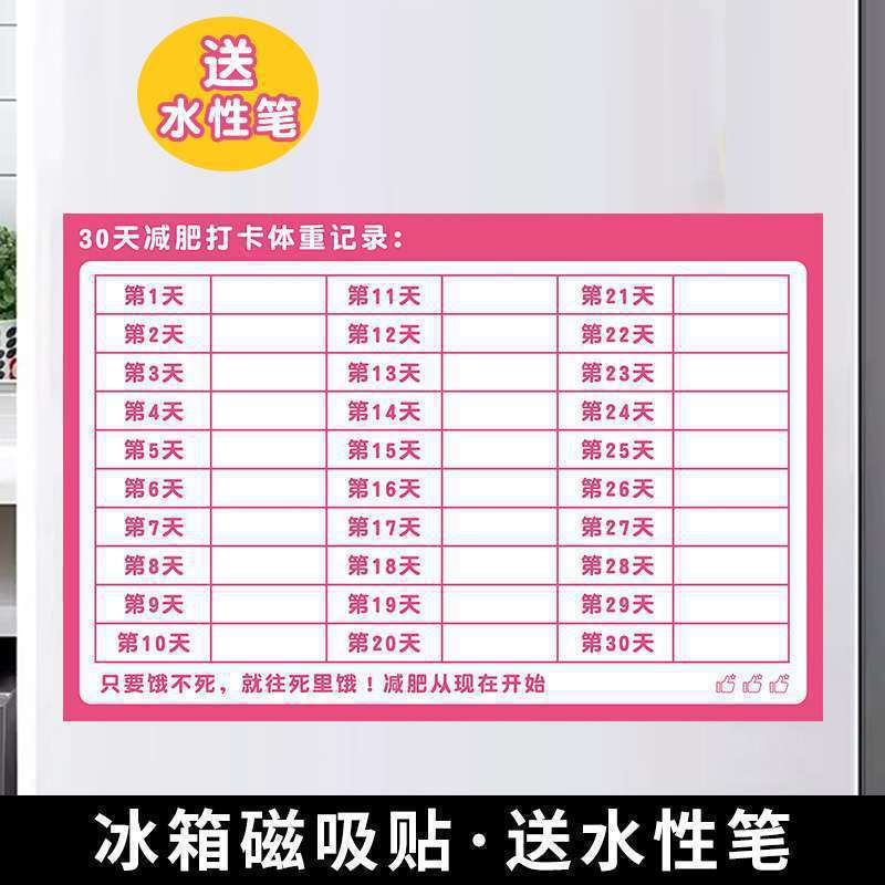 计划表减肥打卡记录表天天天天减肥墙贴磁吸批发|undefined