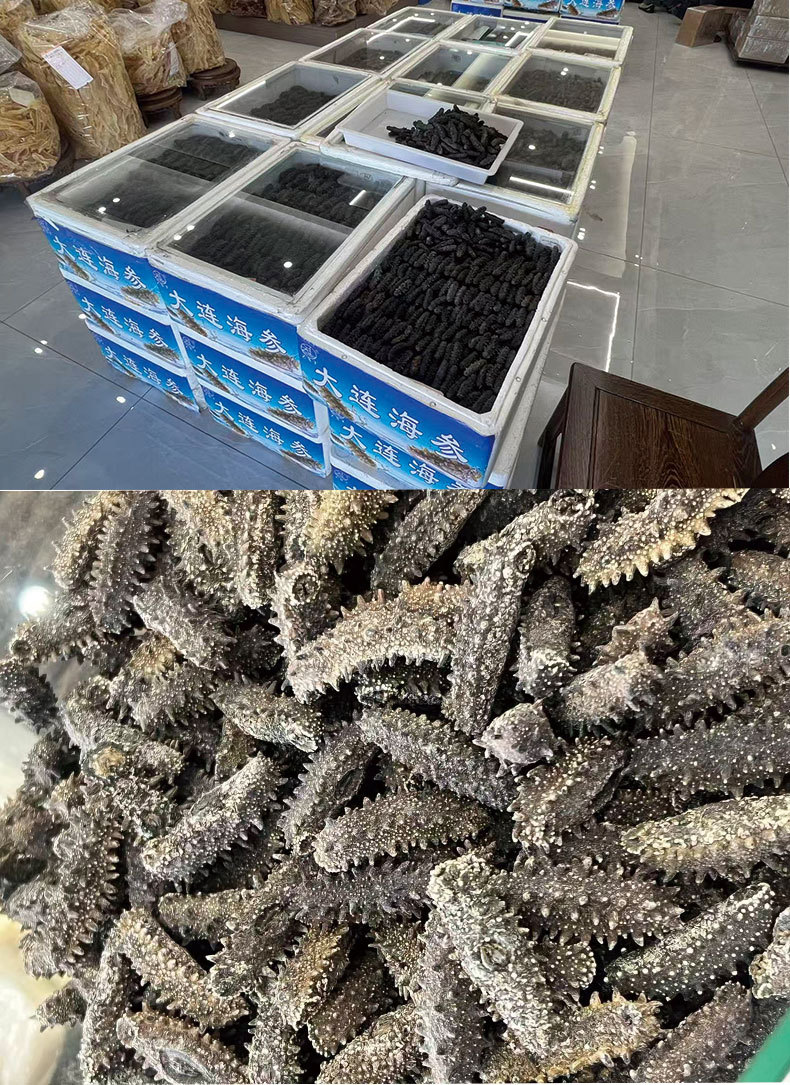 Ready to Eat Sea Cucumber Frozen Cooked 500g Vacuum Packed Seafood Supply specifications