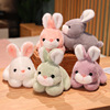 Cute plush toy, children's rabbit, small rag doll, white rabbit, Birthday gift