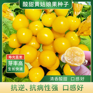 ���������S����N�� ����{��ˮ���N�Ѵ������̨���Թ�����